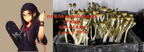 хмурый Заволжск